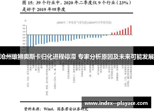 沧州雄狮奥斯卡归化进程停滞 专家分析原因及未来可能发展
