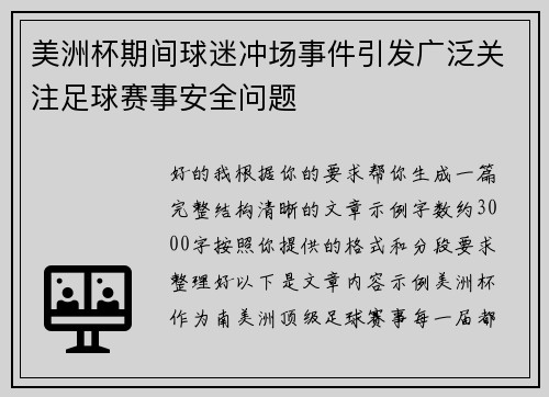 美洲杯期间球迷冲场事件引发广泛关注足球赛事安全问题 美洲杯期间球迷冲场事件引发广泛关注足球赛事安全问题